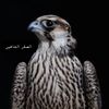 khalid__474