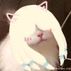 nat_mustakrakish