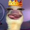 _kimmysh0
