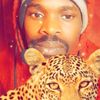 yasiribrahim526