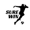 surewin360