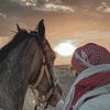 mo_tbar8