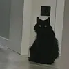 ktoto_6824