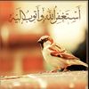 hail_abrahem_515