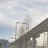 n_niki88