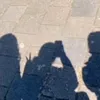 _mel1naa_0