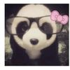 jenny.shrestha03