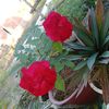 user6280711962479