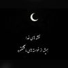 setayesh3131