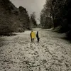 olieleb_jsy