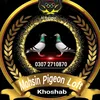 mohsinloft