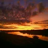 vnzm_x07