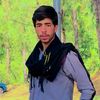hamid.tanoli.777