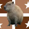 capybara_republic_king