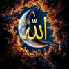 mamunuddin131