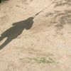 hangingaroundxp