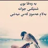 dle xambar