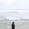 aldaevrytime