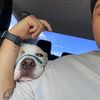 boncaybj