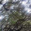 filledusoleil82