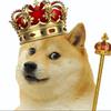 kingdoge_05