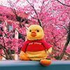 duck_in_a_pocket
