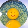 nia_2008_ckp
