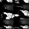 pabloo.94