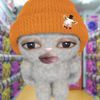 donat_r