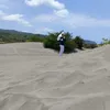 shintaoctaviana13