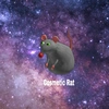 cosmetic_rat