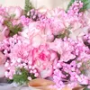 phuong_ha_1217