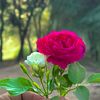 user80419184001363