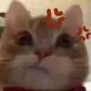 uniiakayii