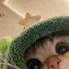 flrsy_11