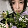 seola33377