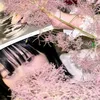 _makizushi