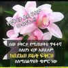 bint.temam8