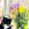 zaraali_6