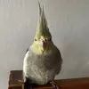 diariodeumaprincesa3