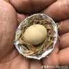 nhan_nguyen76