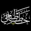 waleedahmed9513