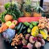 innerhealth199