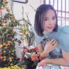 viec66