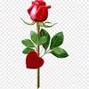 ubaidiqbal78