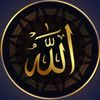 arifmohammedkulei