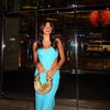 .marissadecicco