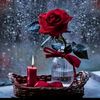 usermohammadullah4