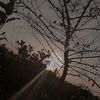 itx_soni_kuri_50