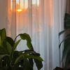 kholoudibrahim990